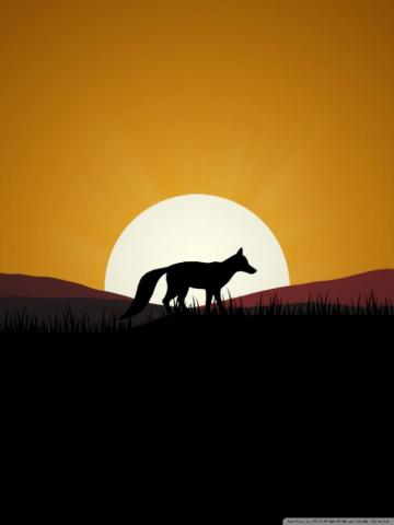Fox Sunset Ultra HD Desktop Background Wallpaper For 4k UHD Tv