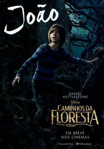 Into The Woods Movie HD Wallpaper Hollywood Film Apnatimepass