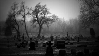 Cemetery Bw Tombstones Trees Wallpaper