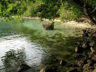 Wallpaper Coast Stones Tree Inclination