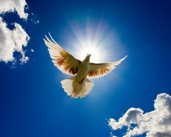 World Peace Wallpaper