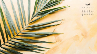 April Wallpaper Best Desktop Phone Background