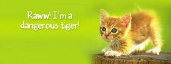Cat Wallpaper For Fb Cover Hot HD