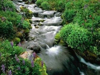 Rivers And Creeks Wallpaper X