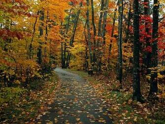 Country Fall Background Image Pictures Becuo