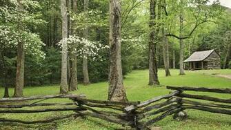 Spring Tennessee Cabin National Park Wallpaper Nature