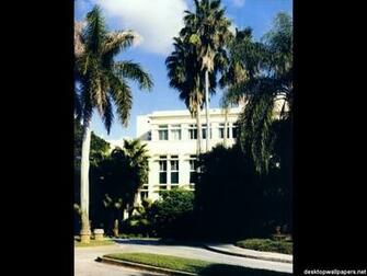 Ashe Building University Of Miami Florida At Desktopwallpaper Net