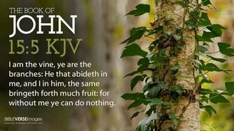 I Am The Vine Wallpaper Christian And Background