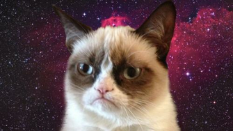 Janelle Meet My New Desktop Background Grumpy Cat On The Carina