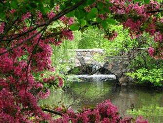 Nature Bridges Desktop Background Wallpaper Full HD
