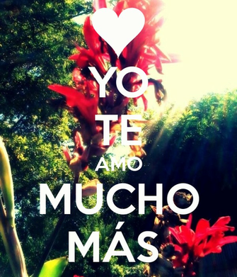 Yo Te Amo Mucho M S Keep Calm And Carry On Image Generator