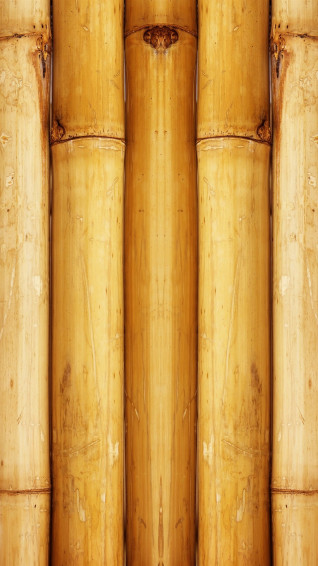 Wallpaper Bamboo UHD 4k Picture Image