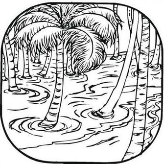 Puzzles Coloring S Of Nature Wallpaper