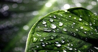 Wallpaper Desktop Nature Rain Amazing