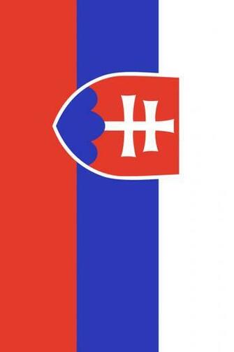 Slovakia Flag iPhone Wallpaper HD