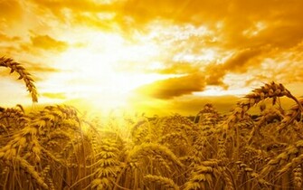 Wallpaper Sunlight Desktop Background