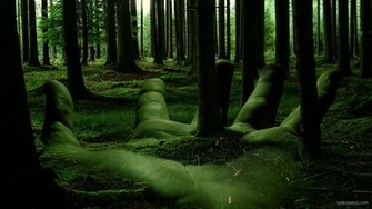 Valerie Kinney Forest Background