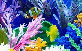 Onder Water Live Wallpaper Screenshot
