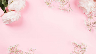 Baby Pink Background Wallpaper