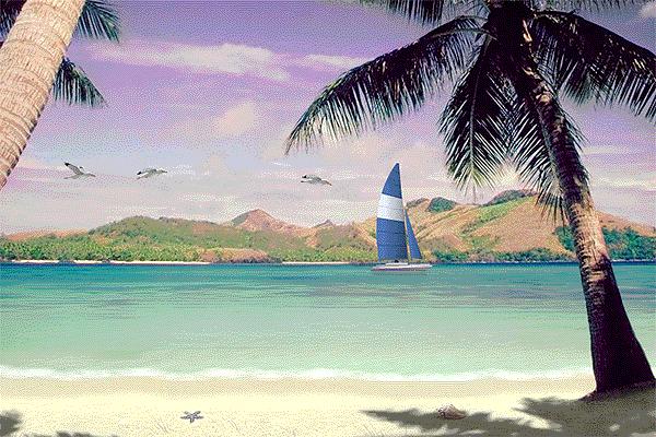 Living Beaches Turns Every Day Into A Summer