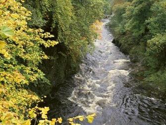 Rivers And Creeks Wallpaper X