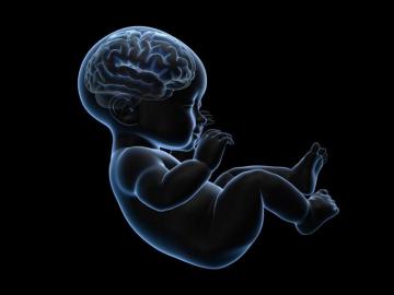 Study Confirms That Inflammation During Pregnancy Is Linked To