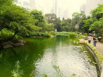 Full Size More Android Live Wallpaper Koi Pond Desktop