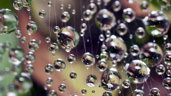 Windows Lock Screen Wallpaper
