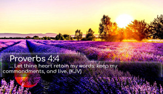 Aesthetic Bible Verse Wallpaper