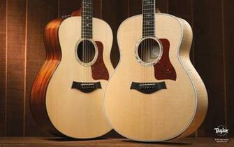Taylor Guitars Wallpaper