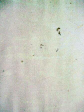 Soft Grunge Wallpaper Solo By