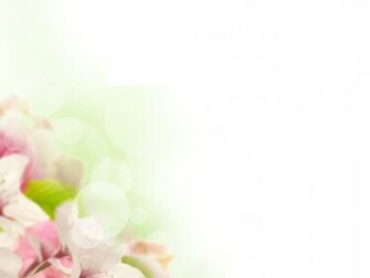Flower Powerpoint Templates Wallpaper Best Background
