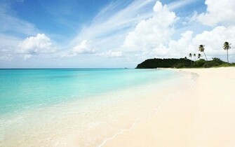 Sunny Beach And Crystal Blue Sea Wallpaper