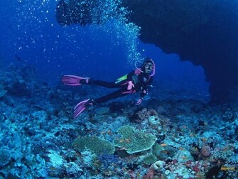 Youwall Diving Wallpaper Photo