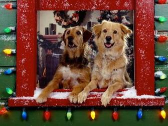 Christmas Doggies