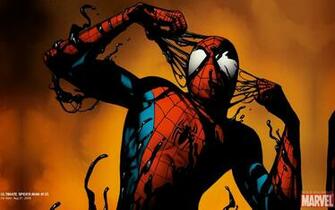 Marvel Spiderman Wallpaper Spiderm