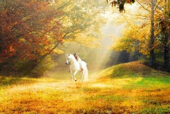 Romantic Autumn Desktop Wallpaper In HD Which Are Collected