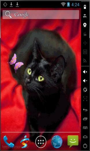 Cat And Butterfly Live Wallpaper For Your Android Phone