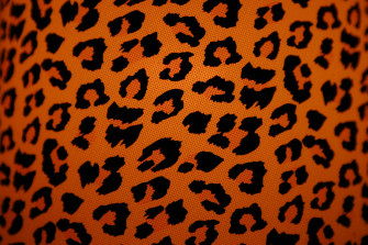 Animal Print Background Wallpaper