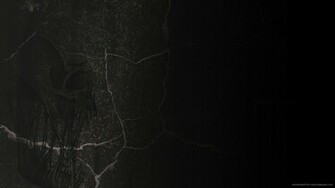 Skull On Black Stone Picture For iPhone Blackberry iPad