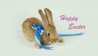 Happy Easter Bunny Mobile Wallpaper