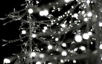 Black And White Wallpaper Background Desktop