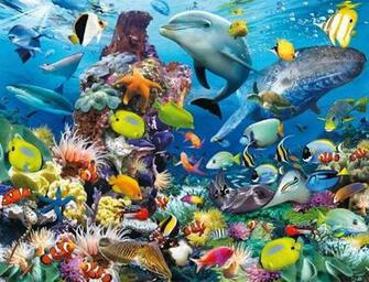 Amazing HD Sea Fish Wallpaper Collection Remix Video