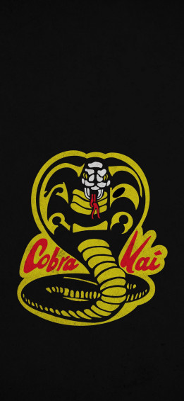 Some Cobra Kai Wallpaper I Just Made The Last Two Are Meh But