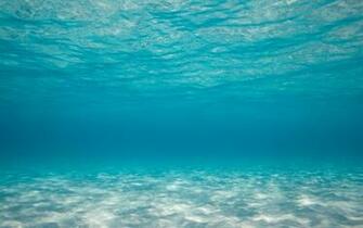 Source Url Scary Pictures Feedio Net Beautiful Underwater Sea