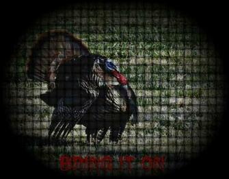Coon Hunting Background Turkey