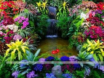 Pictures Beautiful Flower Garden Background Wallpaper Car