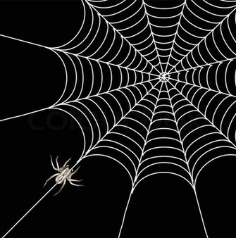 Stock Vektor Von Spinnen Und Ein Web Auf Einem Schwarzen Hintergrund