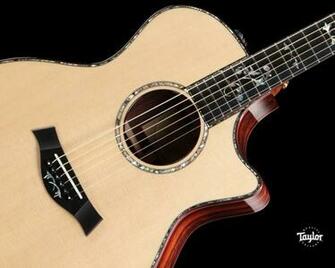 Taylor Guitars Wallpaper