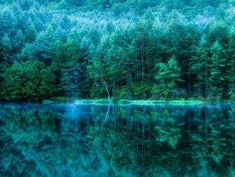Beautiful Forest Pictures Collection Mobogenie